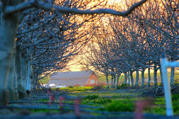 短信验证码轰炸平台