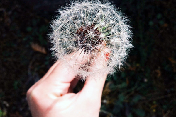 会员充值渠道的短信呼死你2023